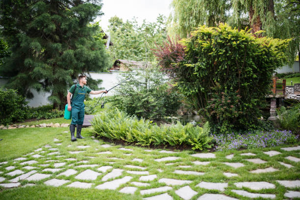 Best Pest Control Near Me  in Rock Hill, SC